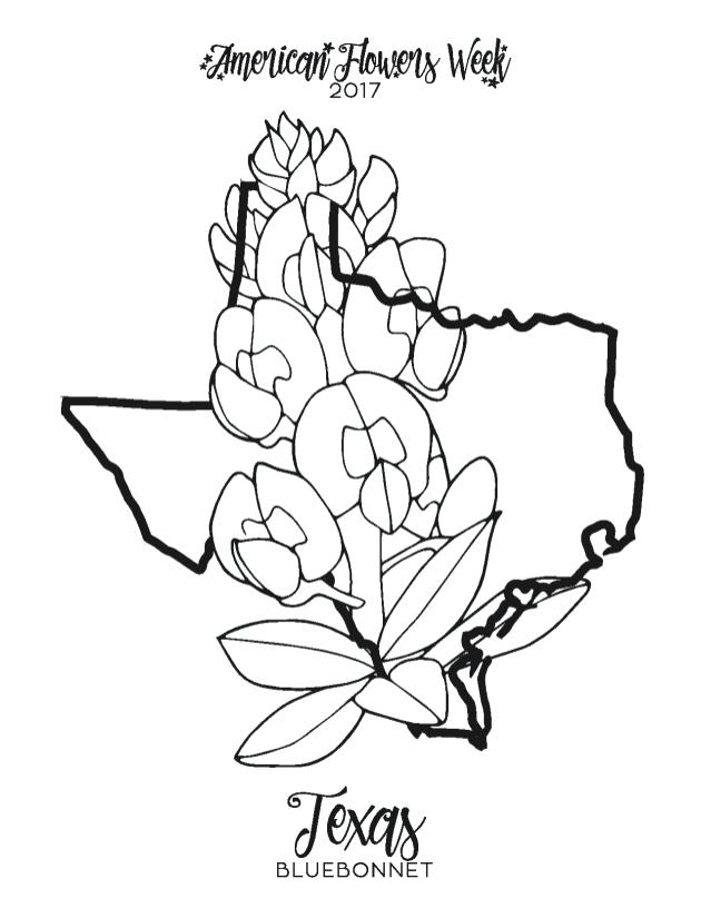630x816 Bluebonnet Coloring Page