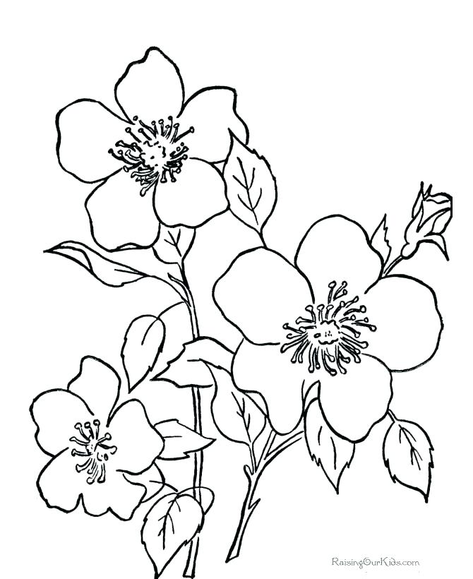 670x820 Simple Fun Printable Coloring Pages Fee