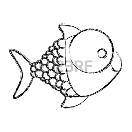 Bluefin Tuna Drawing