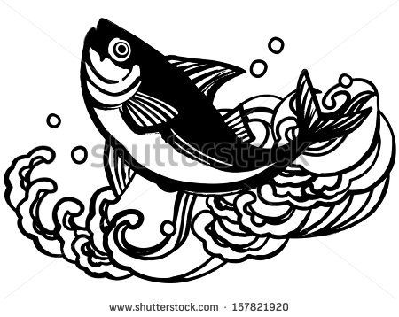 450x358 66 Best Tuna Stuff Images On Tuna, Fish Stock