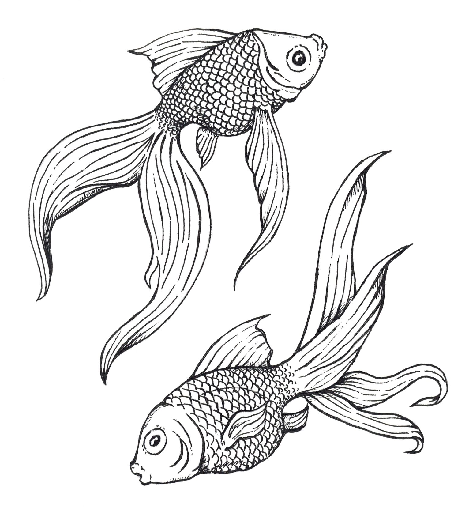 1532x1688 Pen And Ink Drawings Of Fish Cool Pen And Ink Drawings