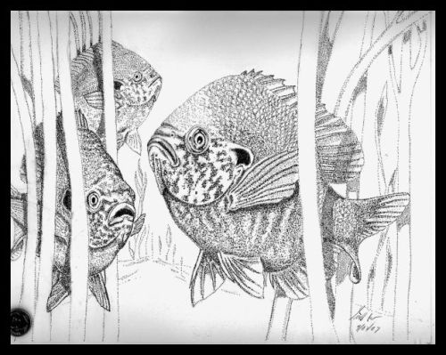 500x399 Your Favorite From 2007