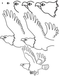 236x303 Step By Step Drawing Animals How To Draw A Vulture With Simple