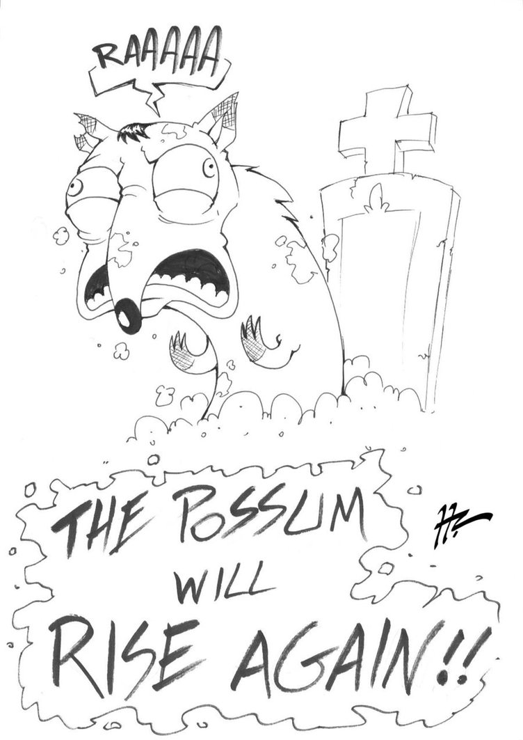 752x1063 Sketch Rising Possum By Blunt Katana