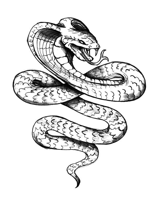 600x759 King Cobra, King Cobra Tattoo Coloring Pages Animals