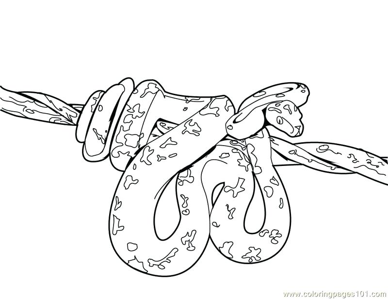 800x618 Ninjago Serpentine Coloring Pages Page Snake King For Kids 2
