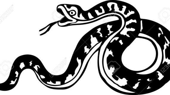 570x320 Simple Drawing Snake Simple Blacknd White Drawing