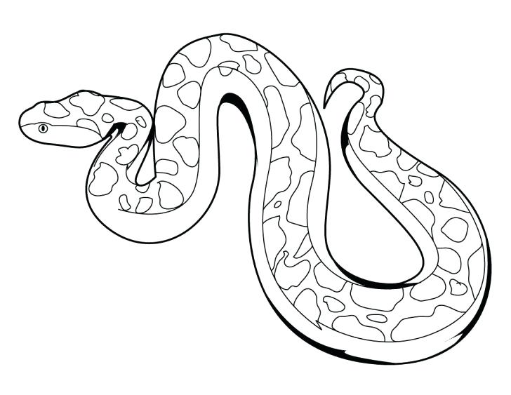 728x563 Snake Coloring Picture Snake Coloring Pages Snake Coloring
