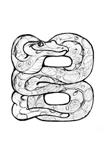 339x480 B Is For Boa Coloring Page Free Printable Coloring Pages
