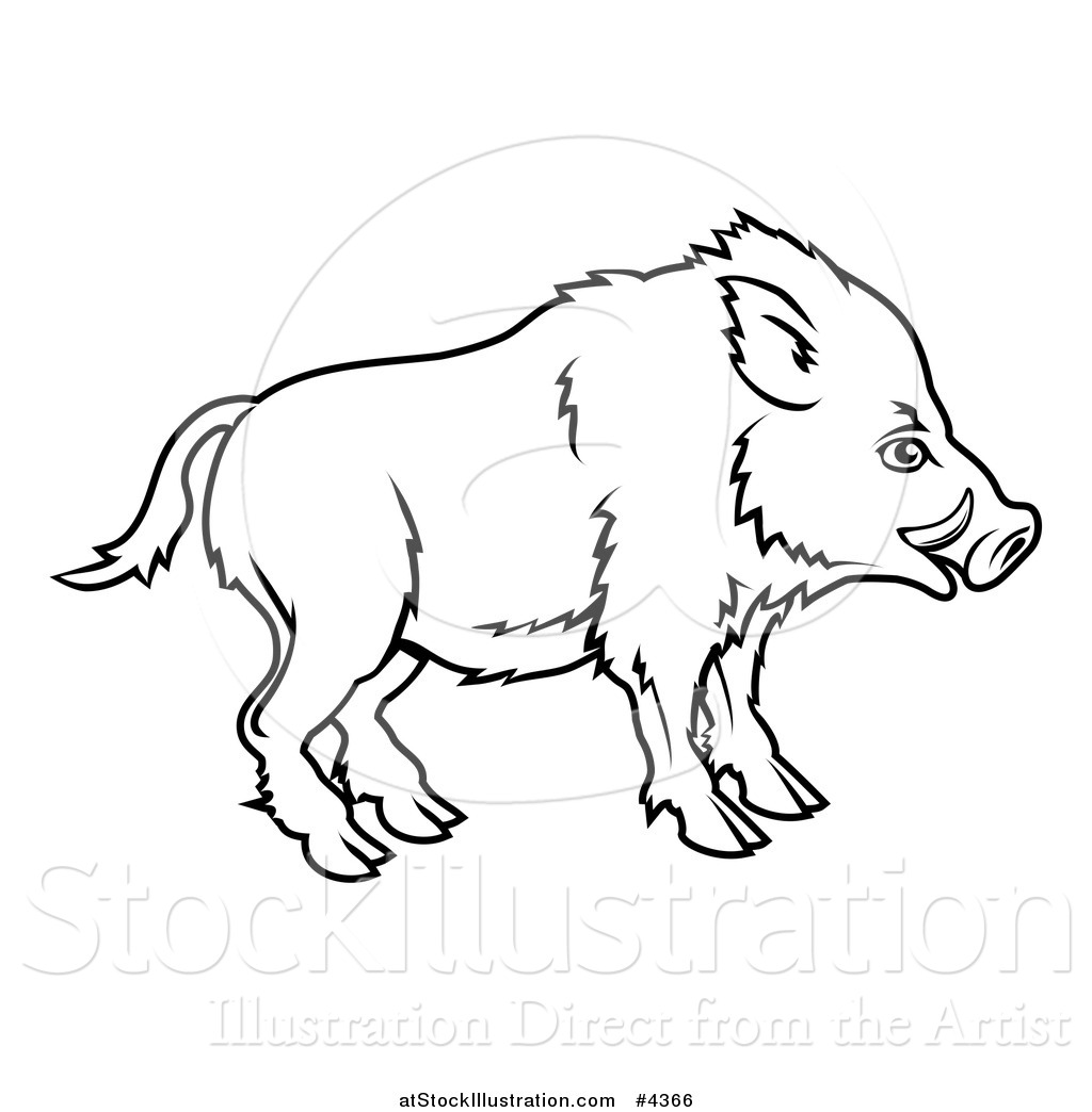 1024x1044 Vector Illustration Of An Outlined Chinese Zodiac Boar In Profile