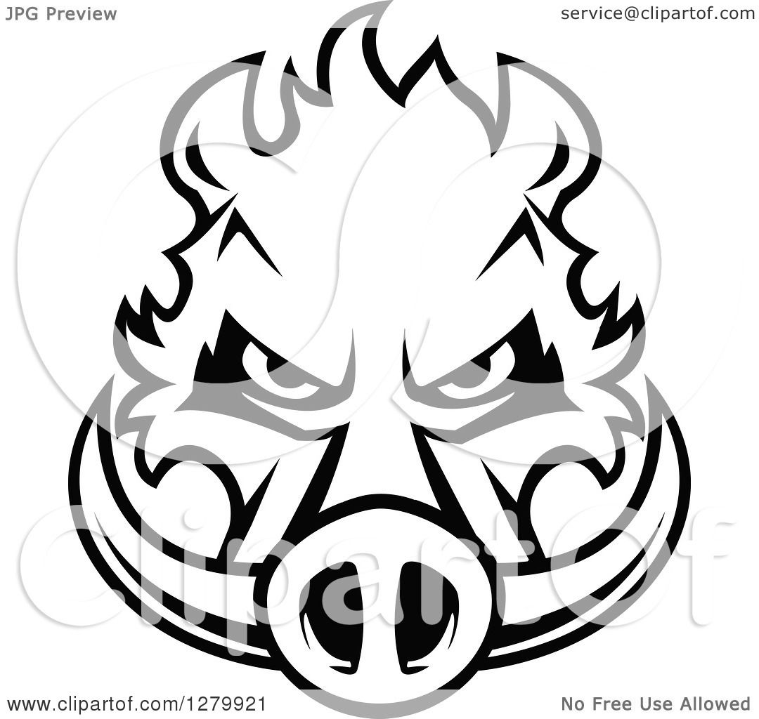 1080x1024 Clipart Of A Black And White Aggressive Boar Head