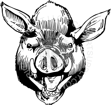 361x343 Razorback Head Facing Forward