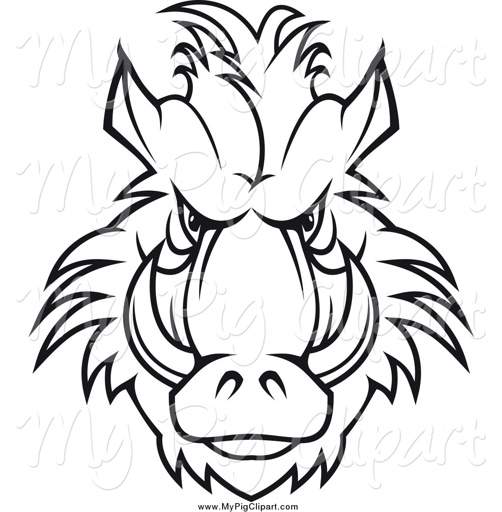 1024x1044 Top 86 Boar Clip Art