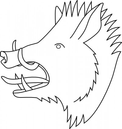 402x425 Wild Boar Head Drawing