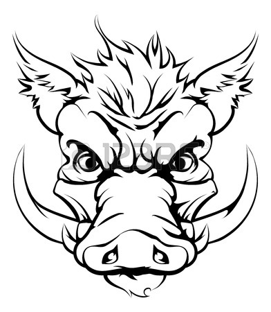 392x450 Wild Boar Stock Photos. Royalty Free Business Images
