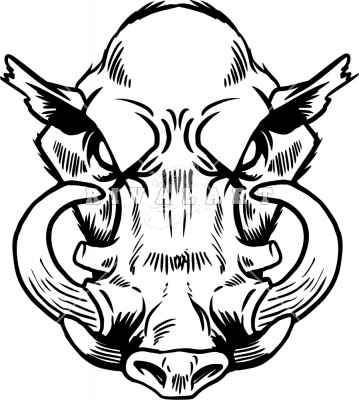 359x400 Wild Boars Head