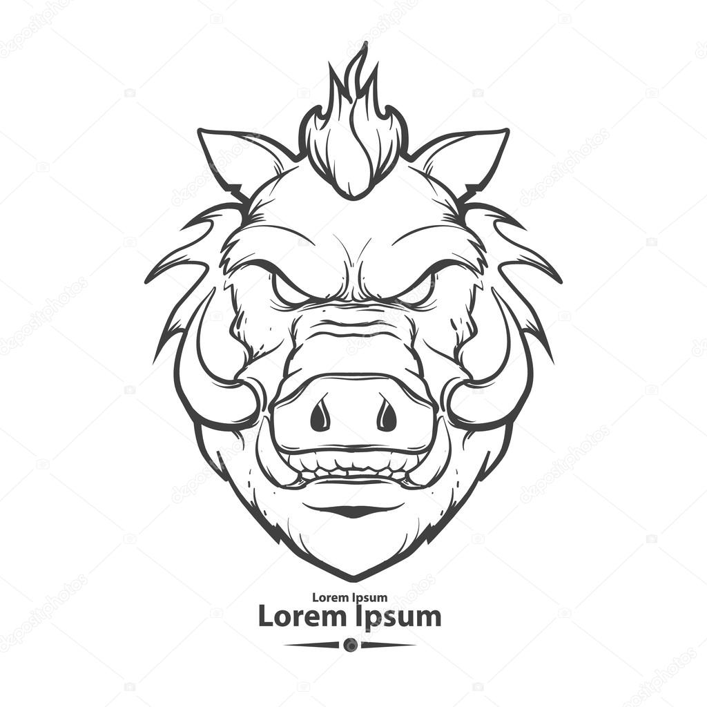 1024x1024 Boar Head Logo Stock Vector Evgenybornyakov