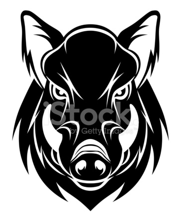 Boar Head Drawing at GetDrawings | Free download