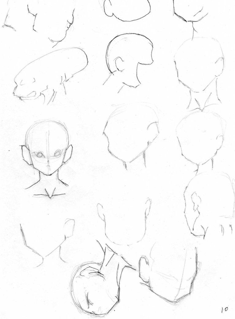 766x1042 Reference Material.