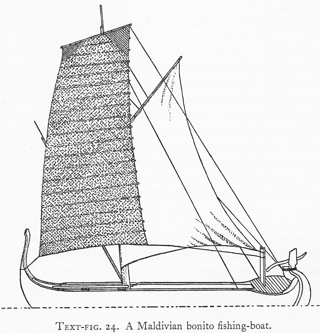 1119x1164 Indigenous Boats Bonito Fishing Boats In Maldives