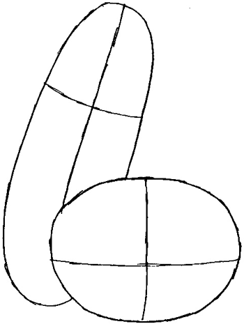 350x465 How To Draw Bob And Larry From Veggietales With Easy Step By Step