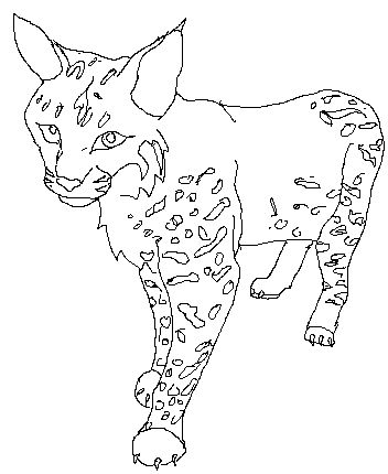 352x430 Bobcat Lineart By Hawkfrostscourgeluva