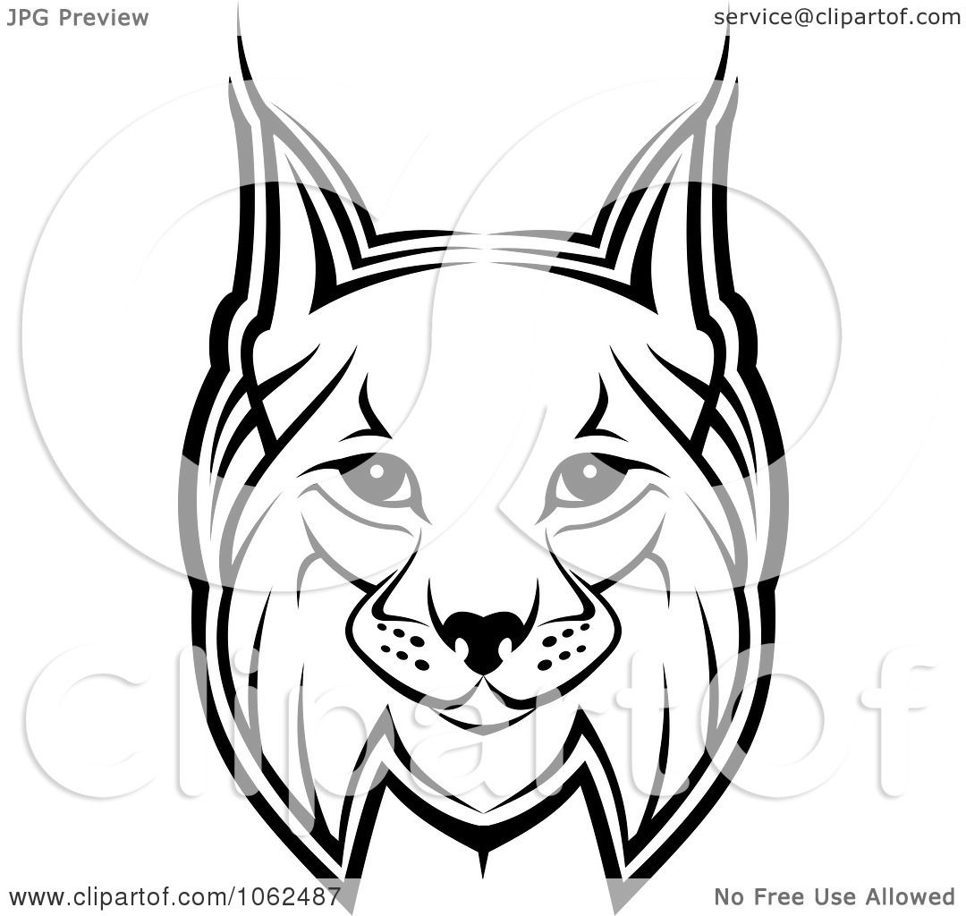 1080x1024 Clipart Bobcat In Black And White 1