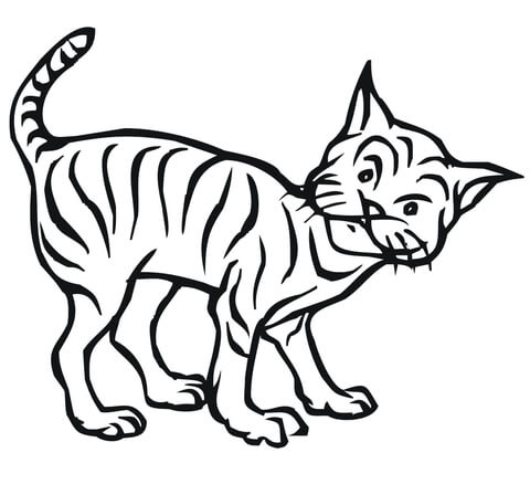 480x438 Curious Bobcat Coloring Page Free Printable Coloring Pages