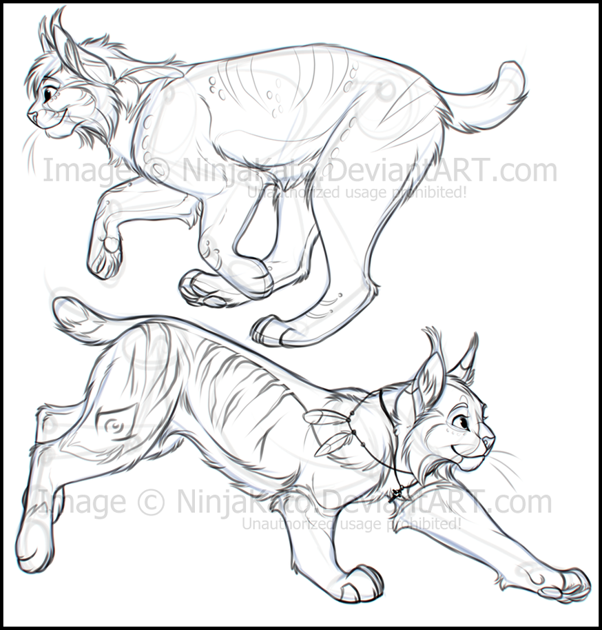 874x914 Lynxes And Bobcats (Sketches) By Ninjakato