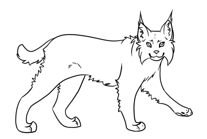 686x461 Lynxobcat Lineart By Rhenae