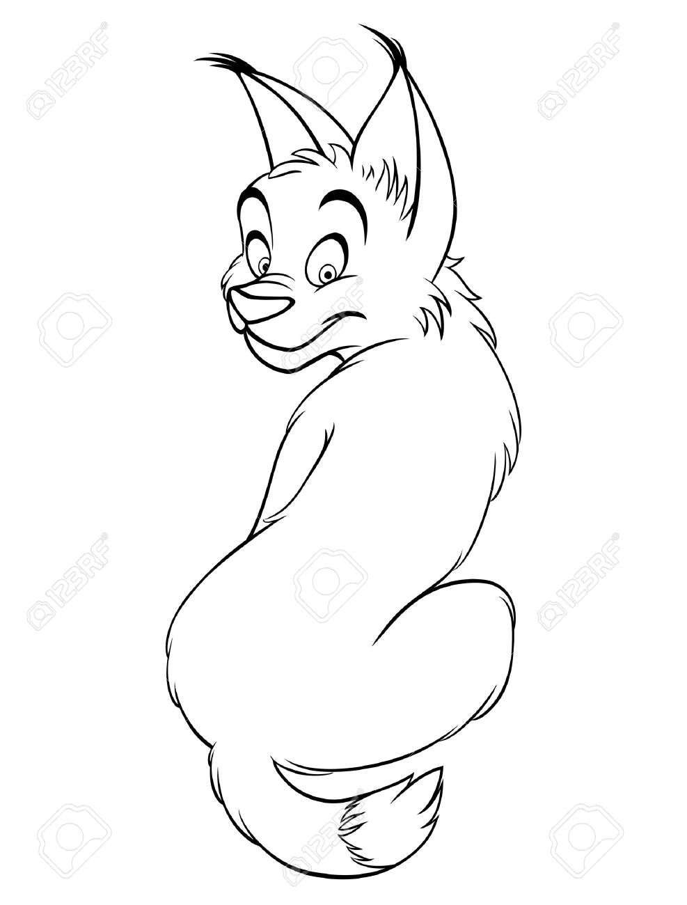 987x1300 Cartoon Bobcat Lynx Cute Kitten Vector Illustration Drawing