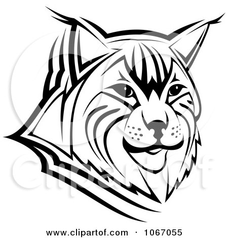 450x470 Clipart Bobcat Face