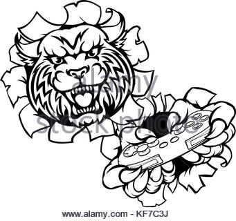 341x320 Angry Cougar Mountain Lion Head Drawing Stock Vector Art