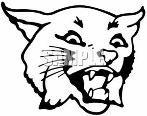 300x237 Clipart Of A Bobcat