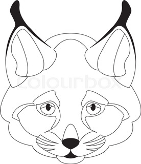 276x320 Cute Bobcat Illustration In Flat Color Stock Vector Colourbox