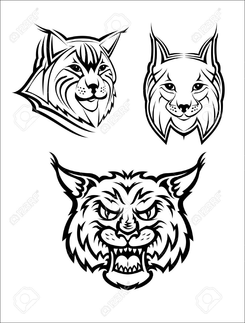 988x1300 Head Logo Of A Wild Bobcat Or Lynx For Masot Or Wildlife Design