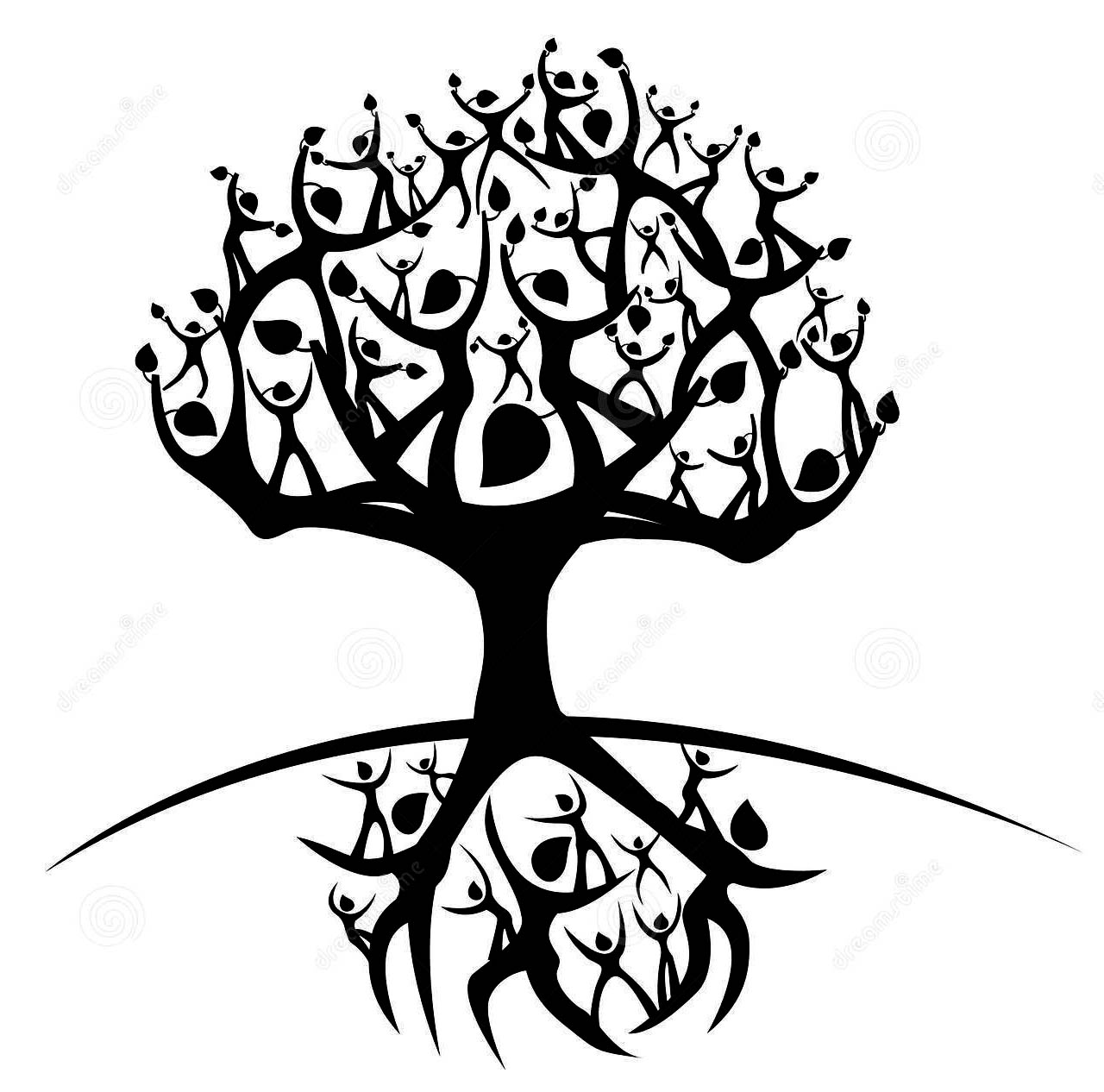 1280x1266 Tree Of Life History And Research. Celtic Tree Of Life And How It