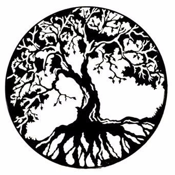 342x342 Weddings Bodhi Tree Bistro