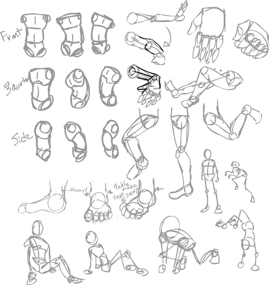 868x921 Body Sketch Set Up By Alkseeyakc