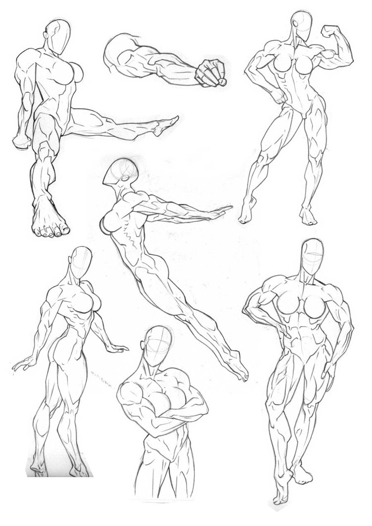 752x1063 Anatomy Practice Full Body By Bambs79