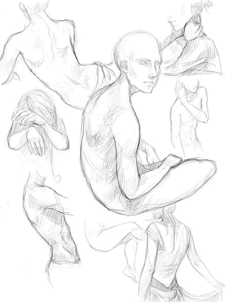 717x960 Anatomyody Sketches By Tickclick