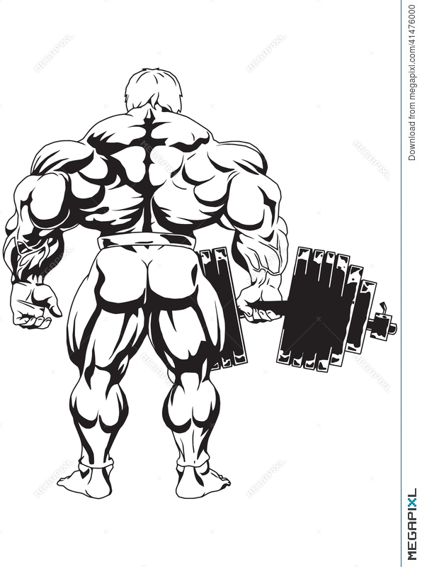 596x800 Bodybuilder The View From The Back Illustration 41476000