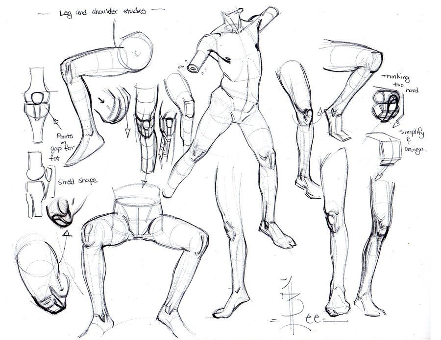 900x695 Leg Form Studies By On @