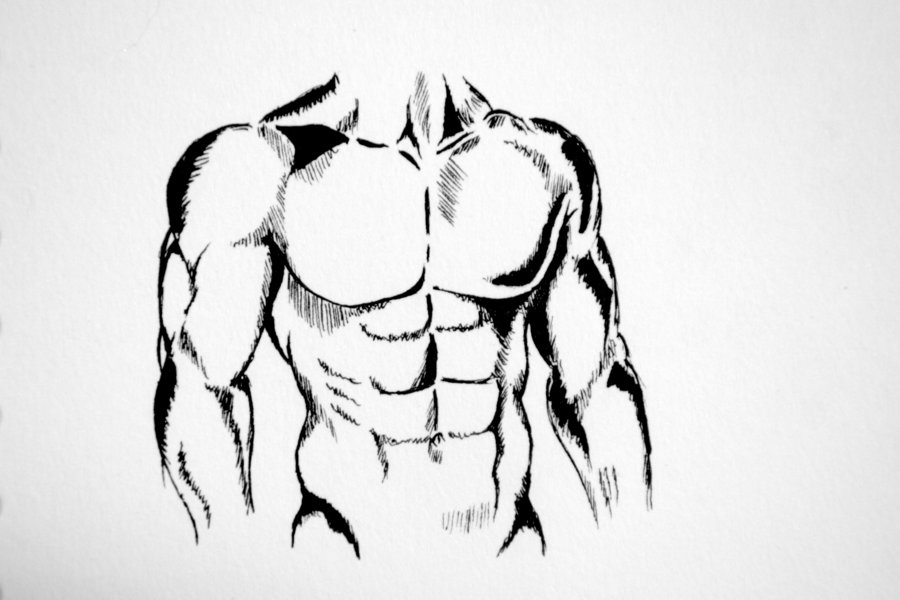 900x600 Body Sketch By Sinvanity