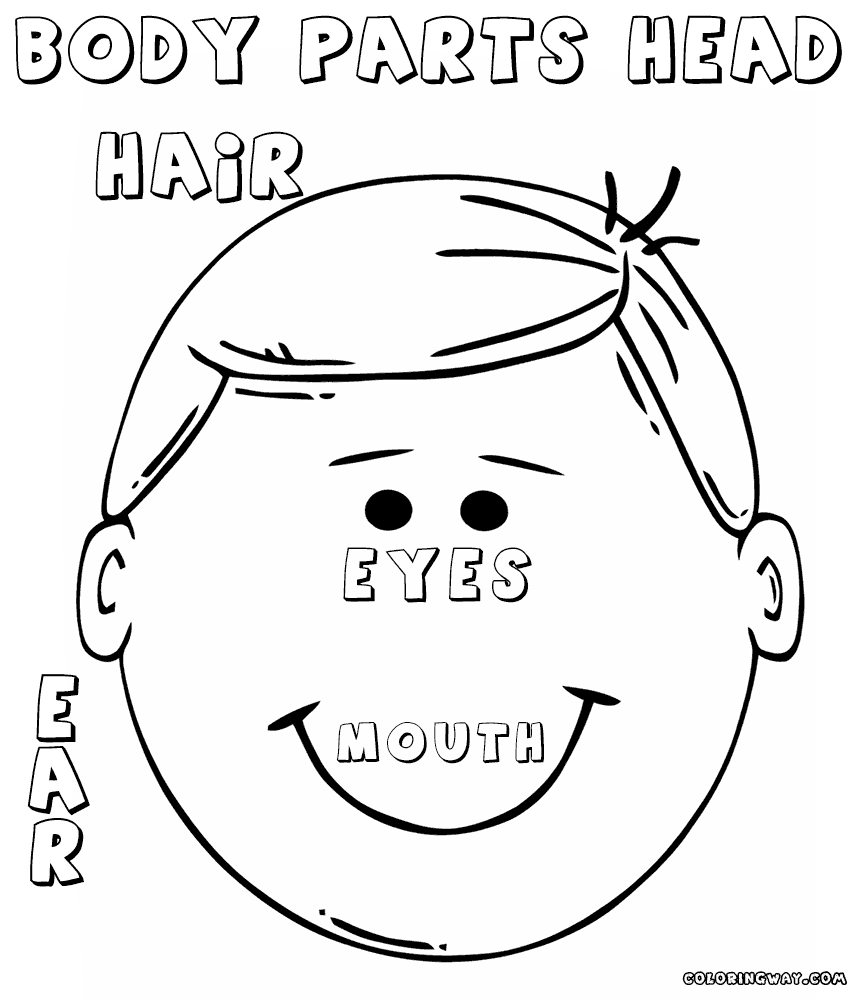 860x1000 Body Parts Coloring Pages Coloring Pages To Download And Print
