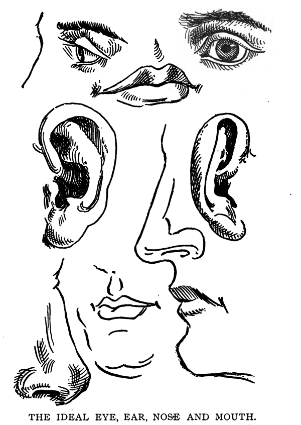 600x846 Drawing The Human Body Amp Figure By Memorizing Human Anatomy