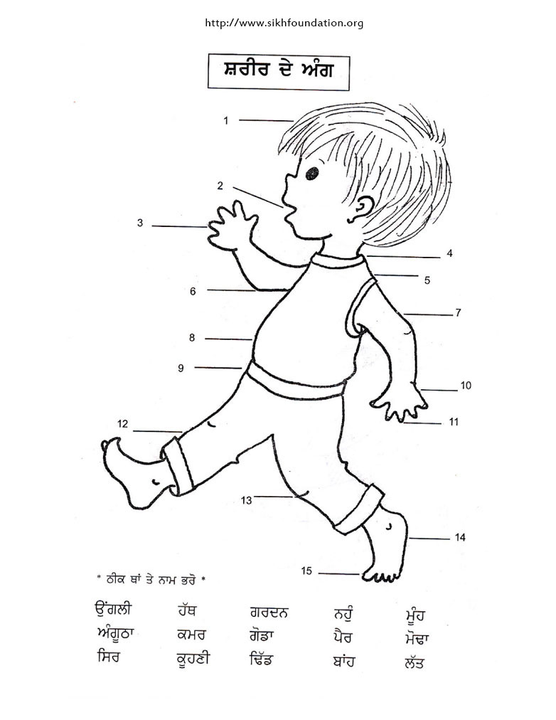 782x1012 Punjabi Activity Sheet Name It Body Parts The Sikh