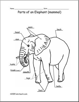 304x392 Animal Diagram Elephant (Labeled And Unlabeled) Abcteach