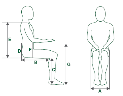 432x337 Body Shape Assessment Human Factor