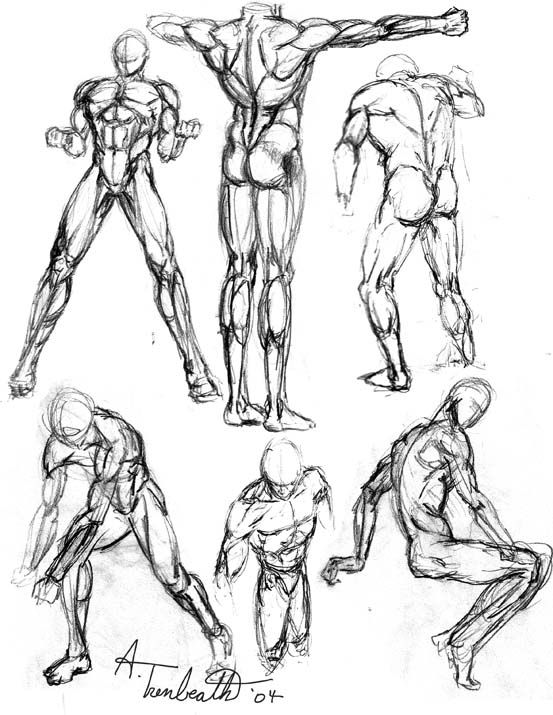 553x715 Gallery Human Figure Sketches,